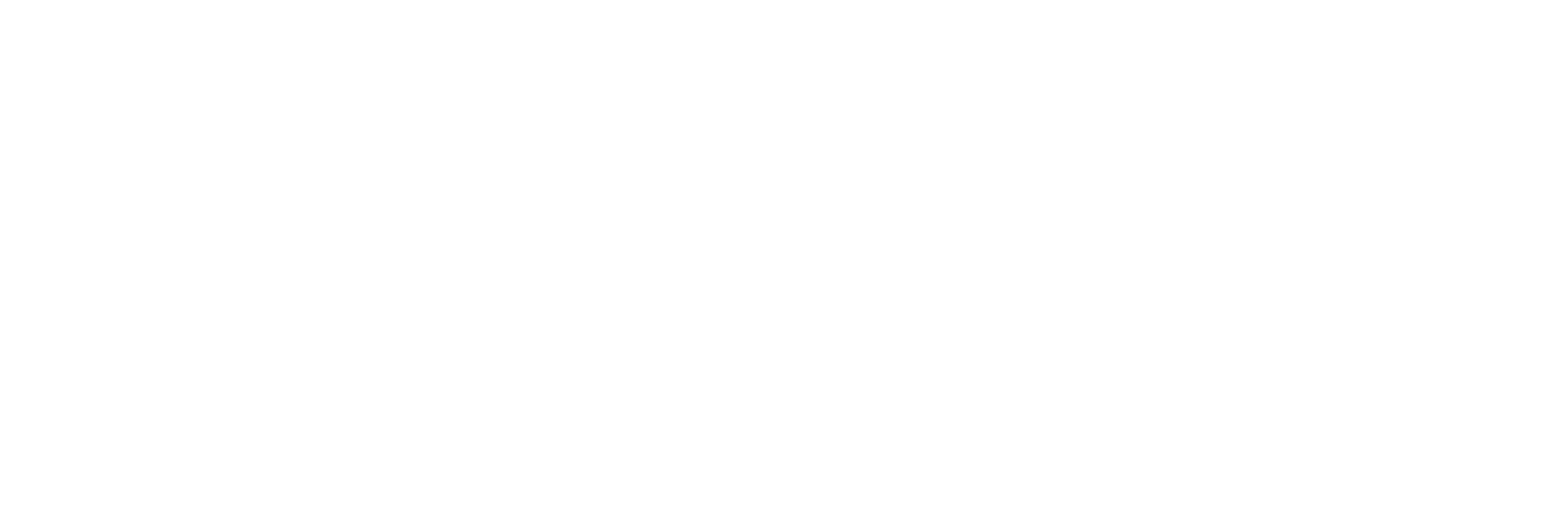 Bitworx Pest Control